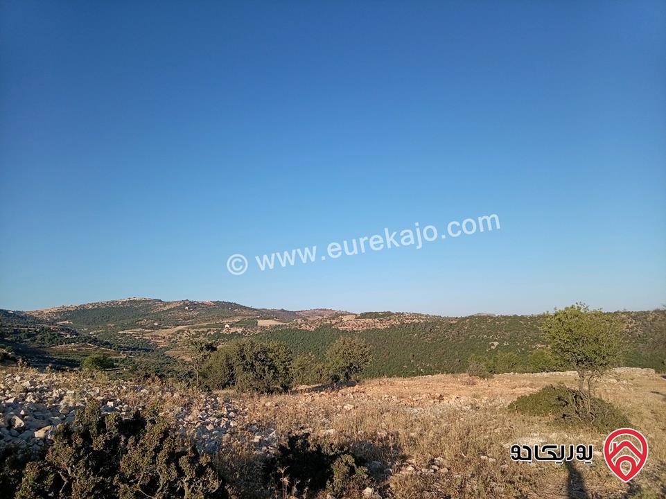أرض مميزة مساحة 2 دونم للبيع في محافظة عجلون منطقة عنجرة / خربة الحنيش الأثرية 