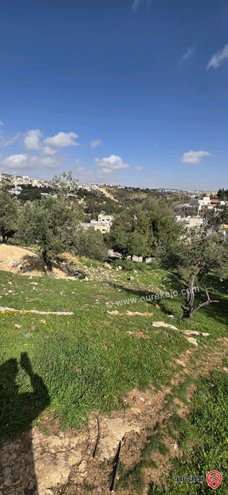 قطعة أرض مساحة 939م للبيع من أراضي غرب عمان - بلال