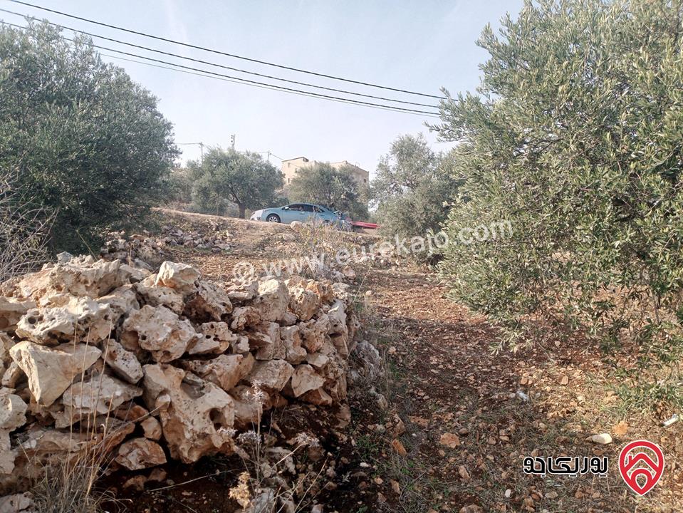 قطعة أرض مساحة 2 دونم و 225م على شارعين رئيسي وفرعي شرقي شمالي صفة التظيم سكن ج وسط للبيع في عجلون - كفرنجه