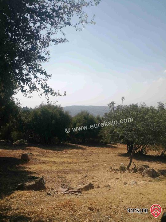 أرض مميزة مساحة 3 دونم و 600م للبيع في السلط زي اطلالة جميلة على عجلون وجرش والغرب تصلح للمزرعة او للسكن 