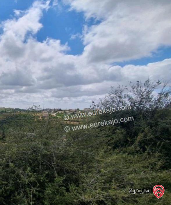 قطعة أرض مساحة 2100م بثمن نمرة للبيع في عمان - بدر الجديدة