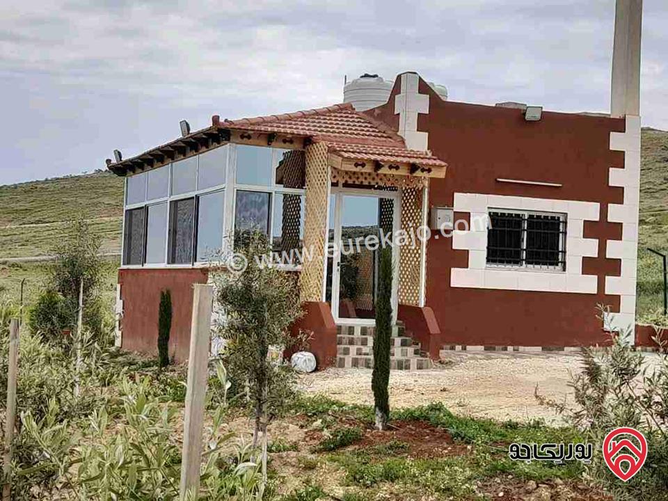 مزرعة مساحة 4 دونم للبيع في المفرق - بلعما 