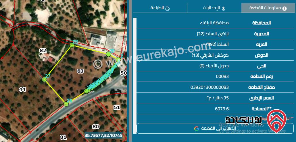 أرض مساحة 6 دونم و 93م للبيع في السلط - زي