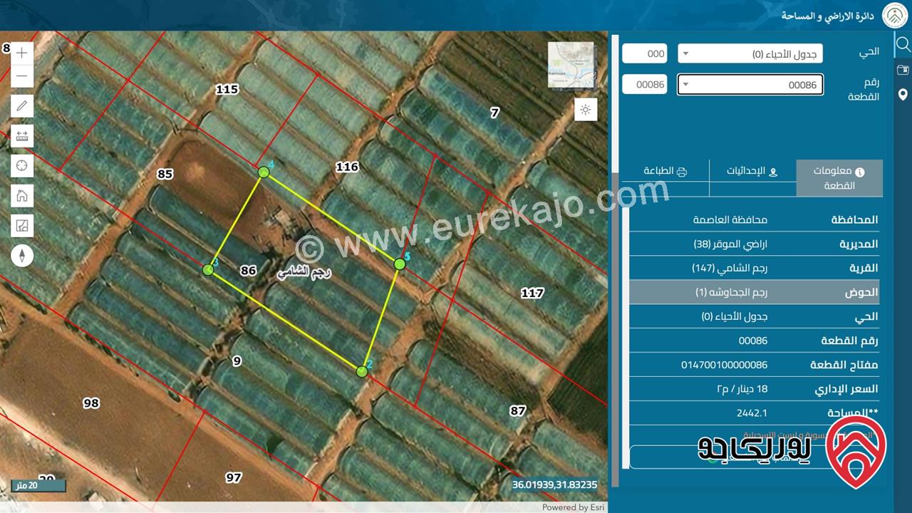 للبيع قطعتا أرض متجاورتان في رجم الشامي بمساحة 2440 م² + 2442 م2 – الموقر