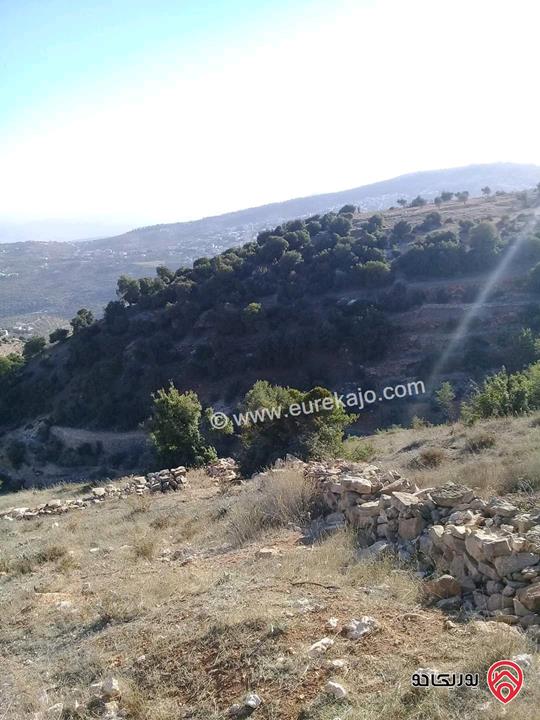 قطعة ارض مساحة 26 دونم للبيع في جرش - سوف