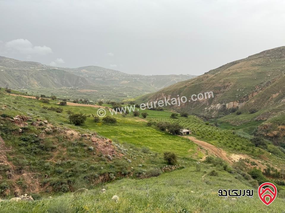 قطعة أرض مساحة 10 دونم و 721م للبيع من أراضي غرب عمان - البحاث حوض القليلات