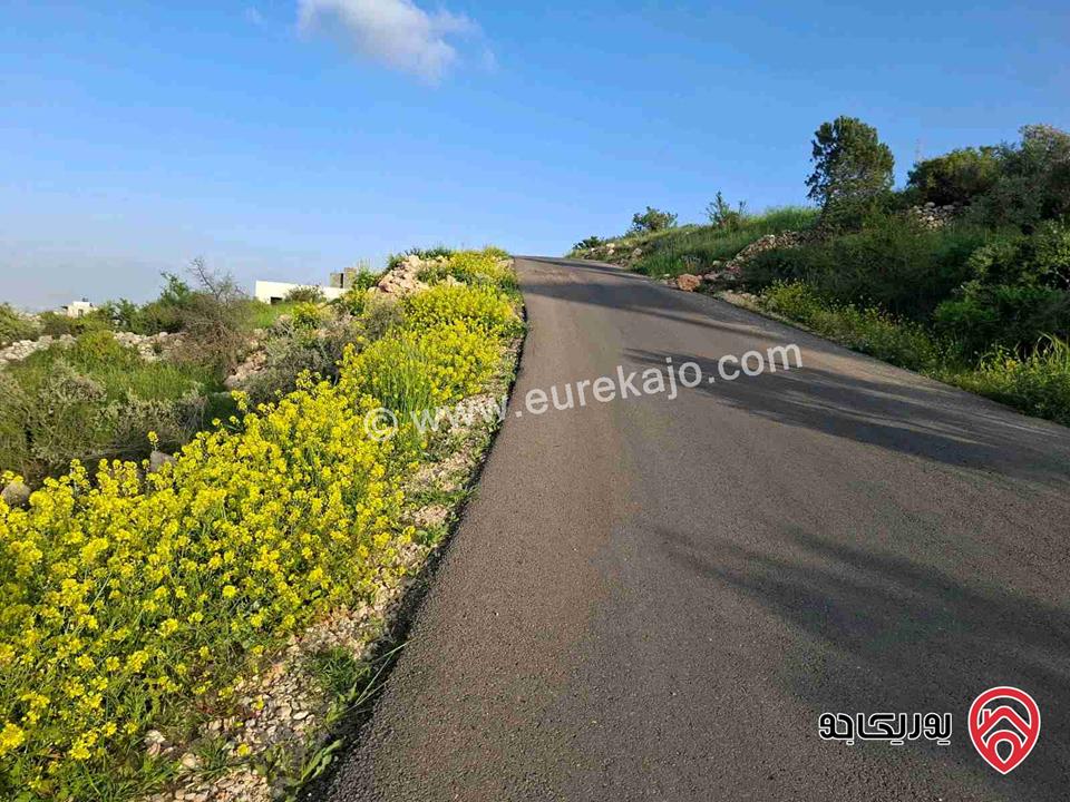 ارض مساحة 1 دونم للبيع في السلط