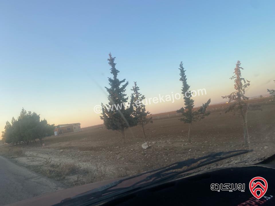 قطعة ارض مساحة 24 دونم للبيع في مادبا / ذيبان 