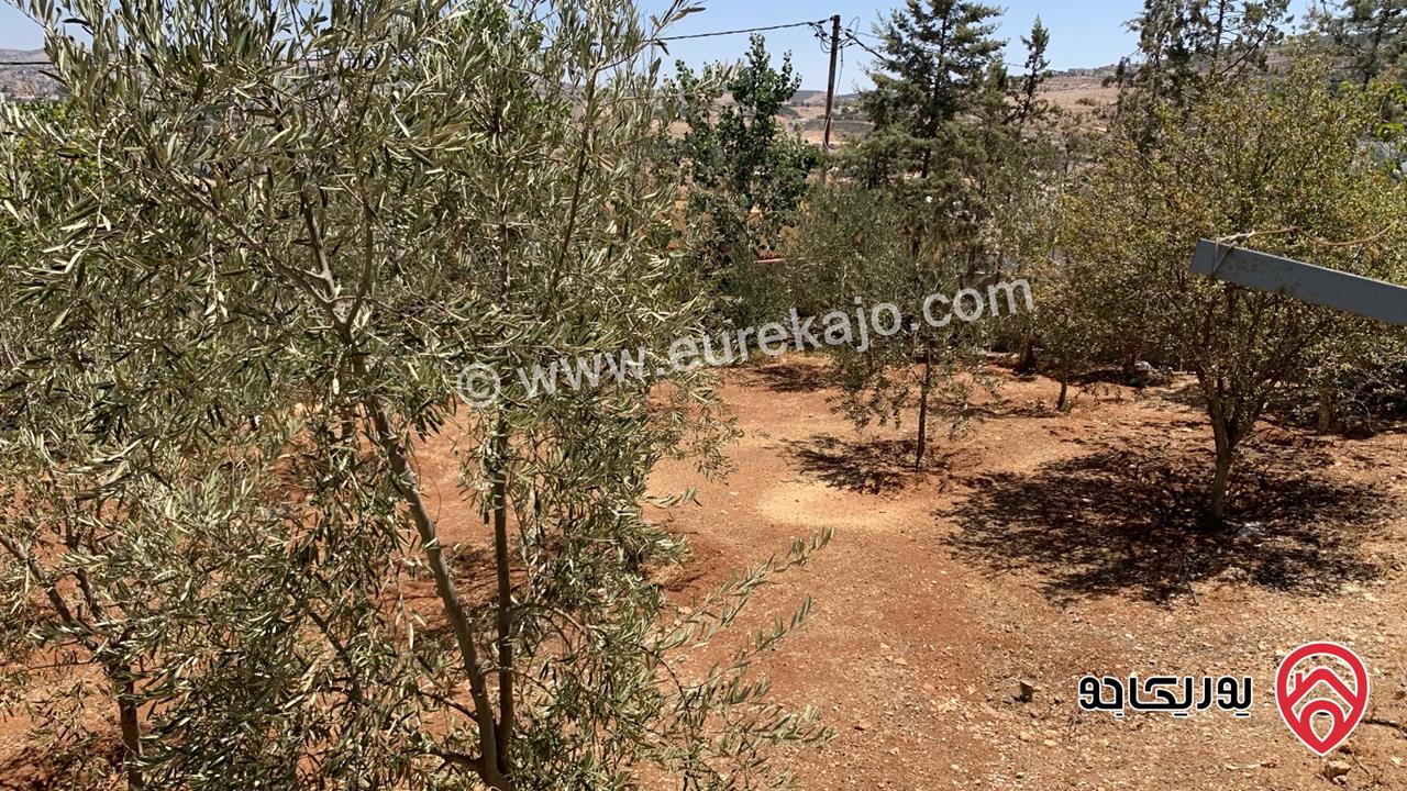 مزرعة مساحة الأرض 2 دونم للبيع بدون منزل في جرش حي الجبارات