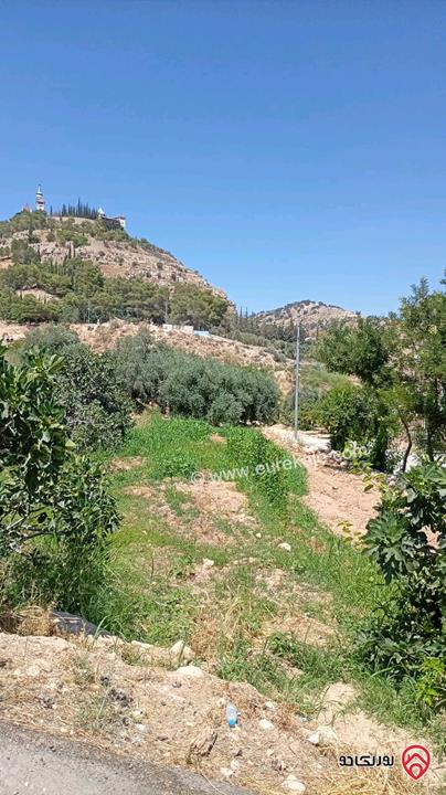 أرض زراعية مساحة 3 دونم و 644م للبيع في عمان - مرج الحمام البحاث 