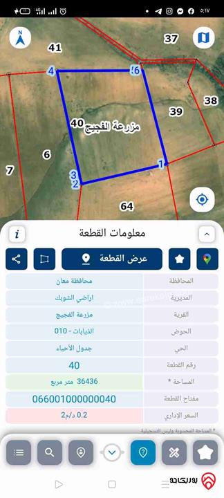قطعة ارض مساحة 36 دونم للبيع في الشوبك 