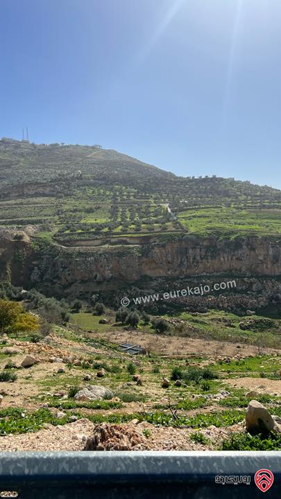 ارض تجارية مساحة 1500م للبيع في عمان - عراق الامير