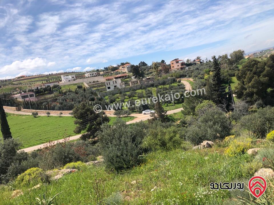 قطعة ارض مساحة 6 دونم و 500م للبيع كاملة او جزء منها في الزرقاء - الكمشة حوض البيرة 