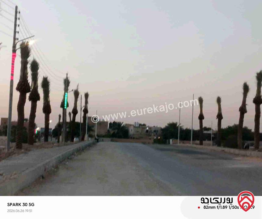 أرض مساحة 500م للبيع في البحر الميت - السويمة 