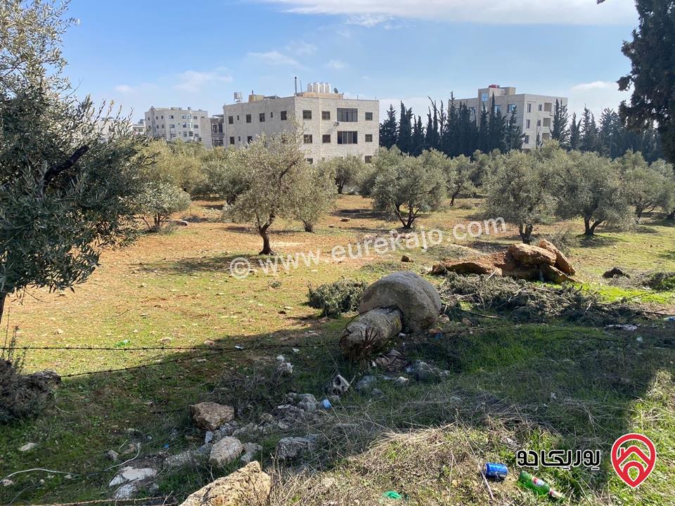 قطعة ارض مساحة 1 دونم و 53م للبيع في عمان - المقابلين ( مرج الحمام الشرقي ) 