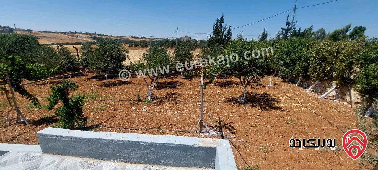 مزرعة مساحة الأرض 4 دونم عليها فيلا طابقين 800م للبيع في مادبا - الفيحاء