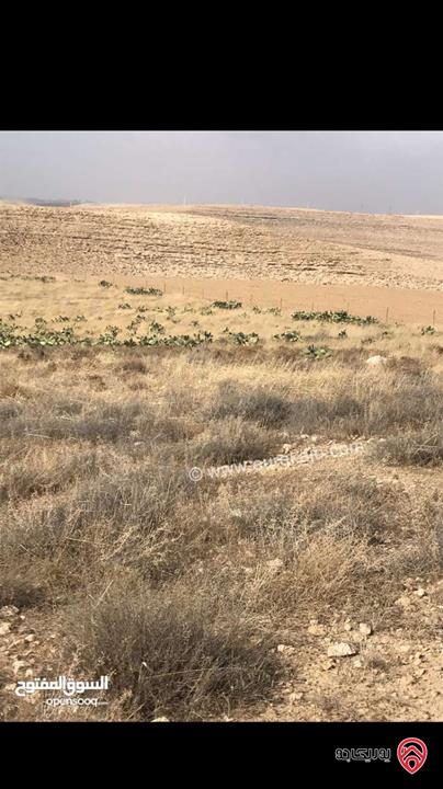 قطعة ارض مساحة 29 دونم للبيع في مادبا - ذيبان