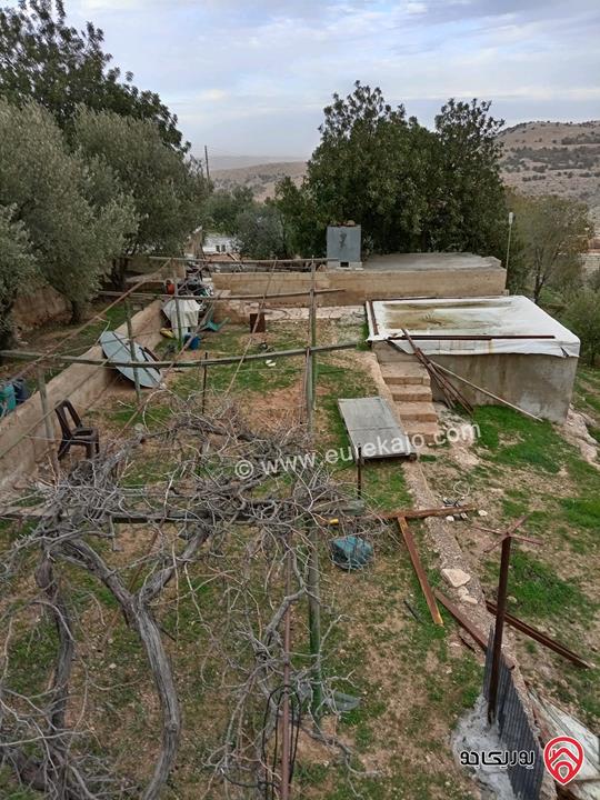 قطعة أرض مساحة 10 دونم و 704م للبيع في الزرقاء - بيرين