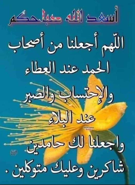 ام طارق 