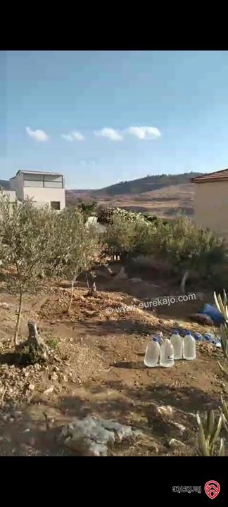 ارض مساحة 546م للبيع في عمان - ناعور زبود وسيل حسبان