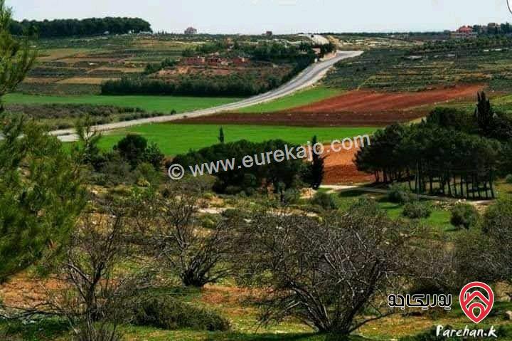 قطعة أرض مساحة 18 دونم للبيع في عمان - ناعور بلعاس 
