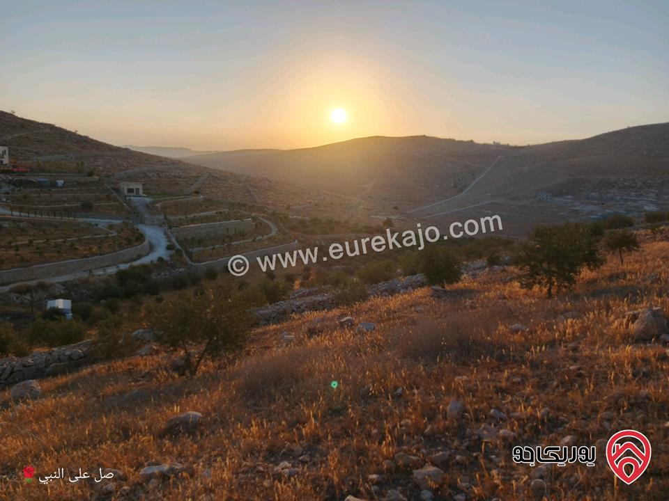 ارض مساحة 3 دونم و 400م للبيع من اراضي المفرق/قضاء رحاب موقع مميز مرتفعة ومطلة ومحاطة بشاليهات ومزارع بسعر مناسب