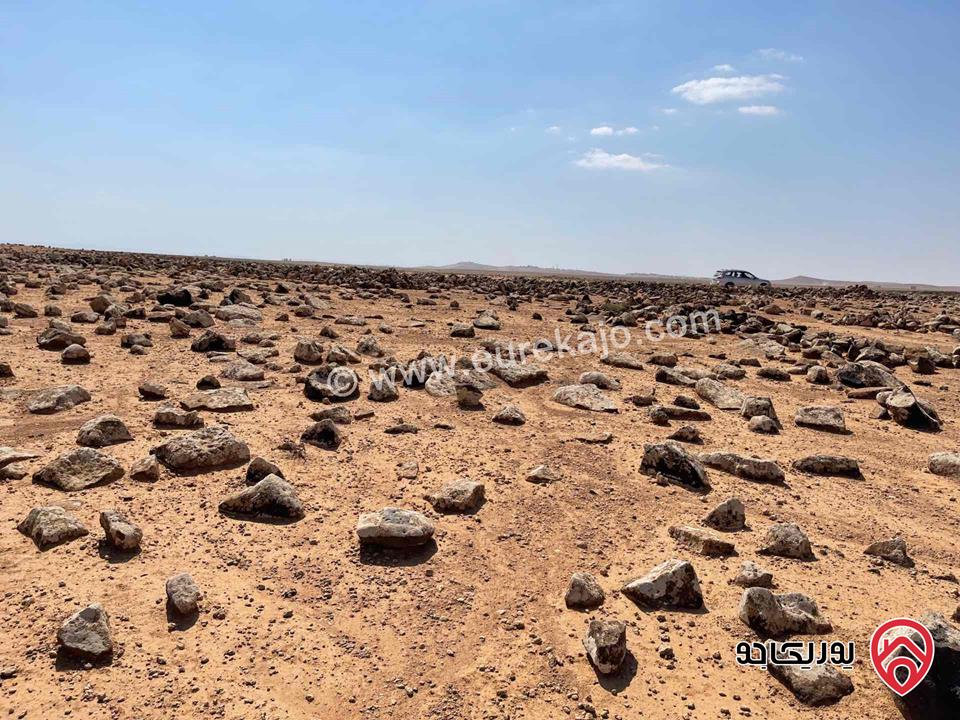 ارض للبيع في المفرق قرية الخالدية حوض وادي العاقب (4) . رقم القطعة 805