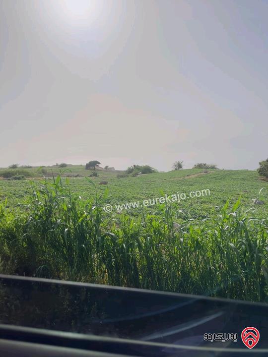 ارض مميزه جدا مساحة 2550م للبيع في مادبا - مكاور زارا ماعين مطله اطلاله على البحر مباشره