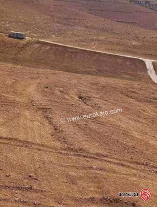 أرض زراعية مساحة 4018م للبيع في المفرق - منطقة بلعما 