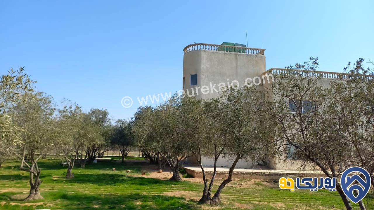 مزرعة مساحة الأرض 10 دونمات عليها بيت طابقين مساحة 440م للبيع في طريق المطار - قرية الزيتونه