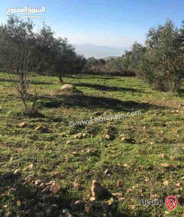 ارض مزرعة استثمارية مساحة 13 دونم للبيع بجبال عجلون - خربة الوهادنه السياحية التنموية 