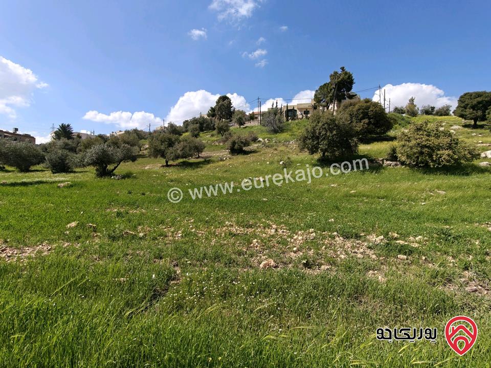 قطعة ارض مميزة مساحة 767م للبيع في عمان - بدر الجديدة من المالك مباشرة