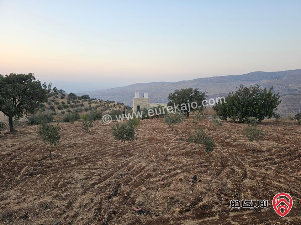 مزرعة ريفية مساحة الأرض 3 دونم و 500م والبناء 130م للبيع في السلط - الصبيحي