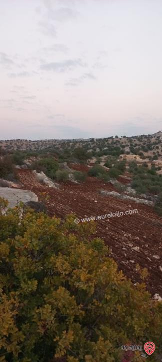 قطعة ارض مساحة 11 دونم و 688م للبيع في عجلون 