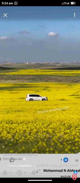 لقطعة أرض استثمارية بمساحة 10 دونمات للبيع في المفرق بجانب الحديقة الملكية