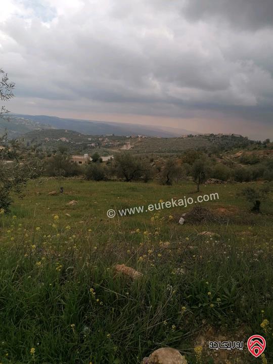 قطعة أرض مساحة 841م للبيع في عمان - بدر الجديدة مفروزة بقوشان مستقل مرتفعة ومطلة واصل كل الخدمات 