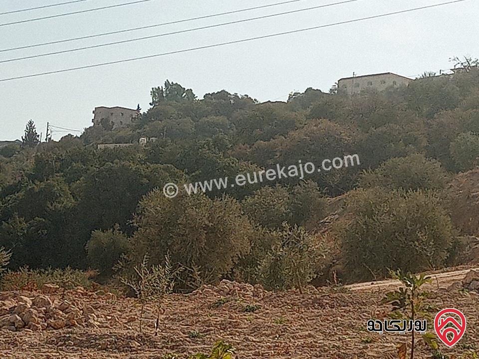 أرض مساحة 936م مميزة للبيع في السلط الصبيحي بيوضة تصلح سكن أو مزرعة أو شاليه خاص 