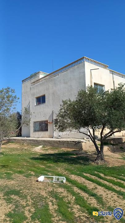 مزرعة مساحة الأرض 10 دونمات عليها بيت طابقين مساحة 440م للبيع في طريق المطار - قرية الزيتونه
