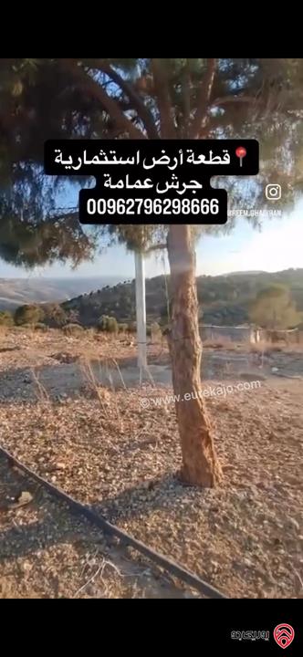 قطعة أرض استثمارية مساحة 10 دونم منتجة للبيع من اراضي جرش عمامة 