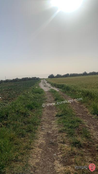 قطعة ارض مساحة 10 دونم للبيع شمال مدينة اربد منطقة ام قيس