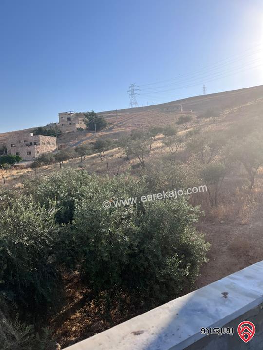 منزل مساحة 316م على أرض 11 دونم و 316م للبيع في عمان - طبربور