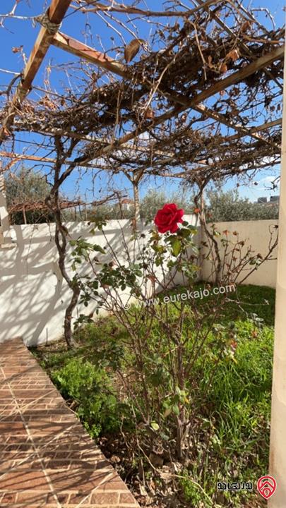 شقة مساحة 275م شبه أرضي للايجار فى عمان - شفابدران لعرسان او عائلة صغيرة 