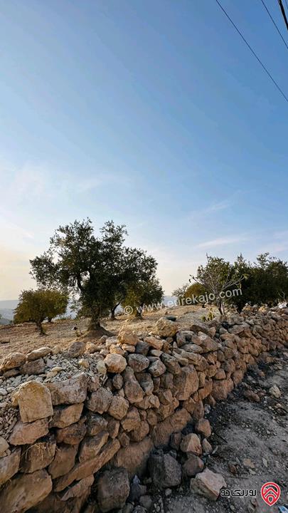 قطعة أرض مساحة 5856 متر للبيع في البلقاء - منطقة ماحص /الميده