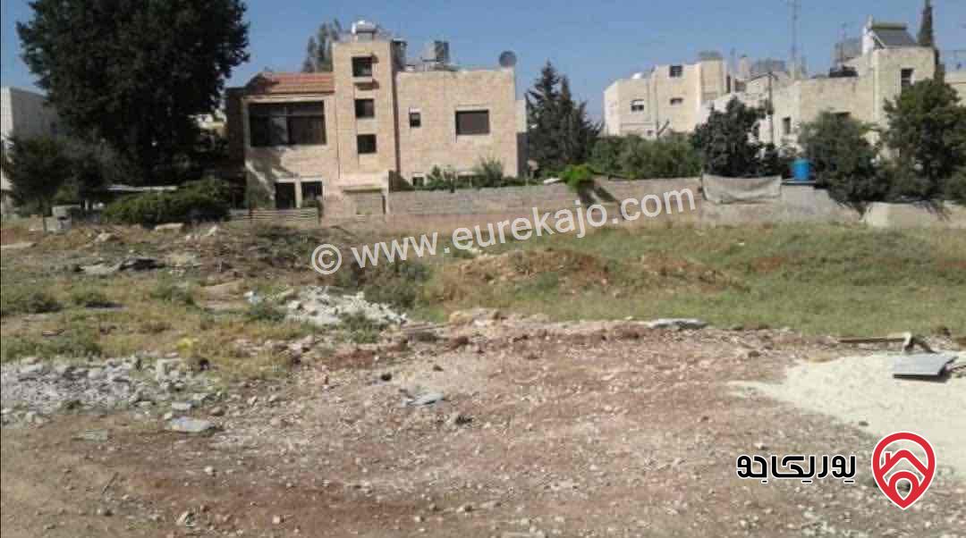 قطعة ارض مساحة 1 دونم و 143م للبيع في عمان - البنيات - قرية المرعي