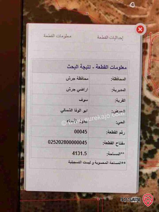 قطعة ارض مساحة 4 دونم للبيع في جرش - سوف