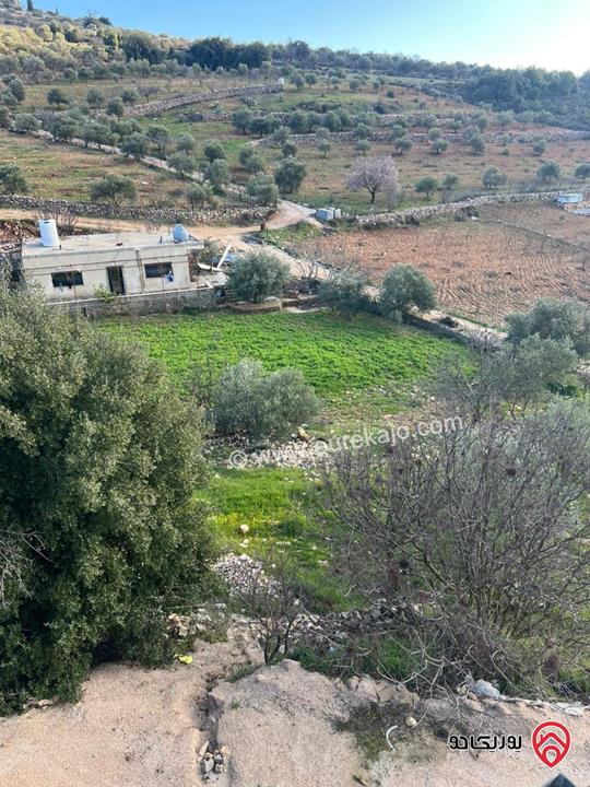 ارض مساحة 1 دونم و 982م للبيع في عجلون عنجرة سرابيس