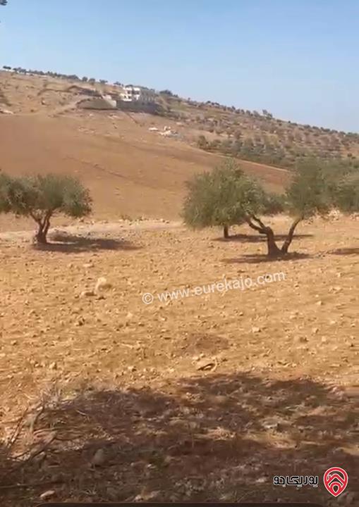 قطعة أرض مساحة 6 دونم و 721م للبيع في جرش - بليلا 