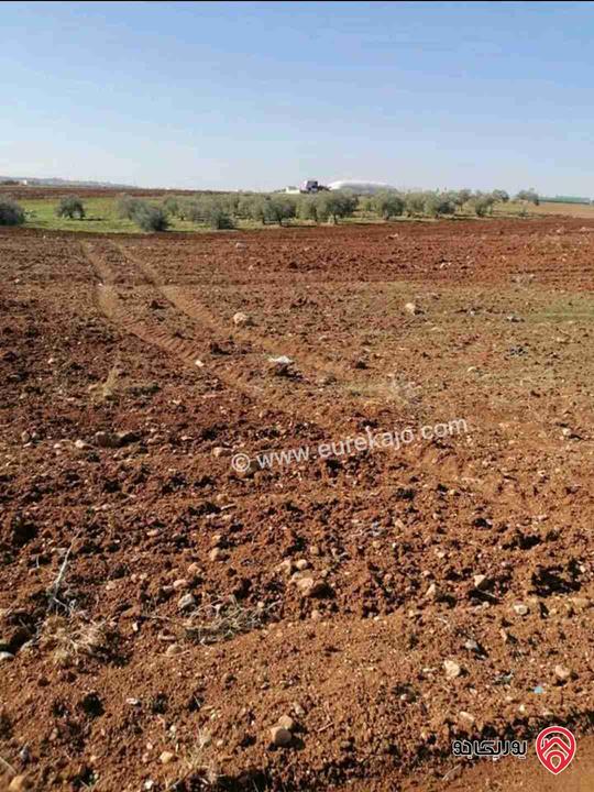 نمر سكنية بمساحات من 1 دونم  الى 10 دونم للبيع في عمان - ناعور ابو الغزلان 