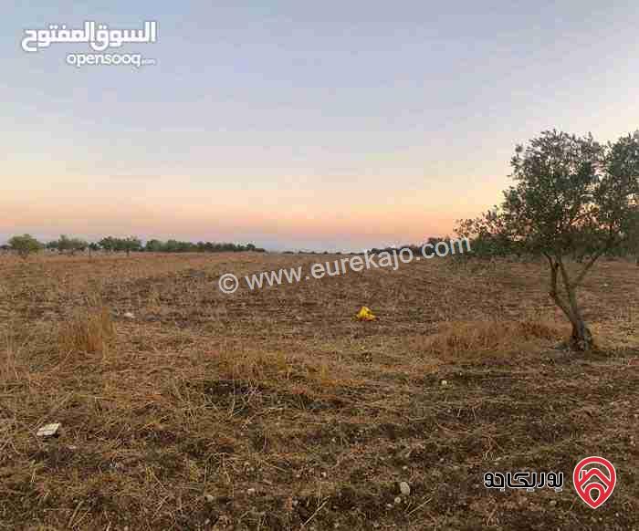 قطعة ارض مساحة 20.238 دونم للبيع في اربد - ام قيس 