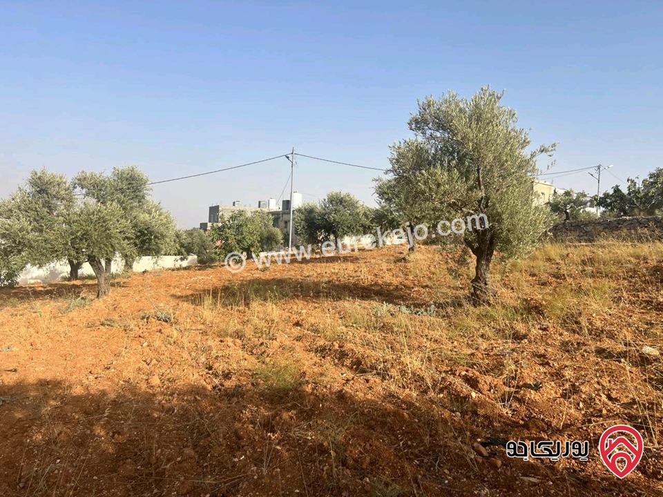 قطعة أرض ريفية مساحة 7 دونم للبيع في في جرش سوف حوض بيدر الحمص 